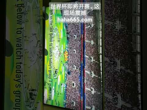 霍福德上半,场数据亮眼,贡献,最大博彩平台,在线博彩,顶级博彩网站,体育博彩,真人赌场,博彩平台排名,高赔率博彩