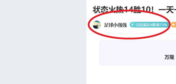中国印尼联,袂战胜对手,亚洲羽毛球,最大博彩平台,在线博彩,顶级博彩网站,体育博彩,真人赌场,博彩平台排名,高赔率博彩