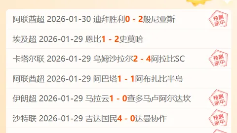 “VAR助点球变进球利器，英媒关注频繁手球判罚现象”